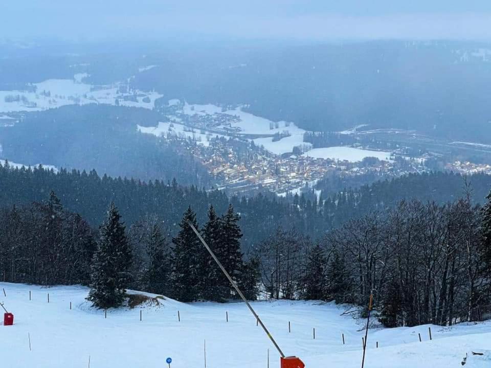 VIP Place Family Alti1000 Télésiège Métabief Avec jardin privé à 50 M des pistes Exterior foto