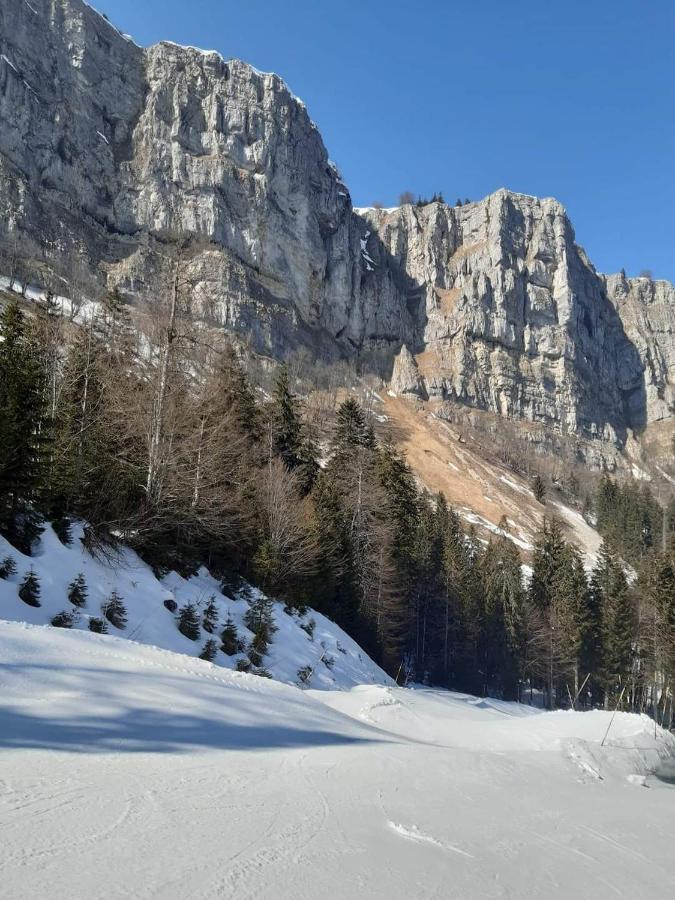 VIP Place Family Alti1000 Télésiège Métabief Avec jardin privé à 50 M des pistes Exterior foto